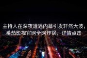 主持人在深夜遭遇内幕引发轩然大波，番茄影视官网全网炸锅，详情点击