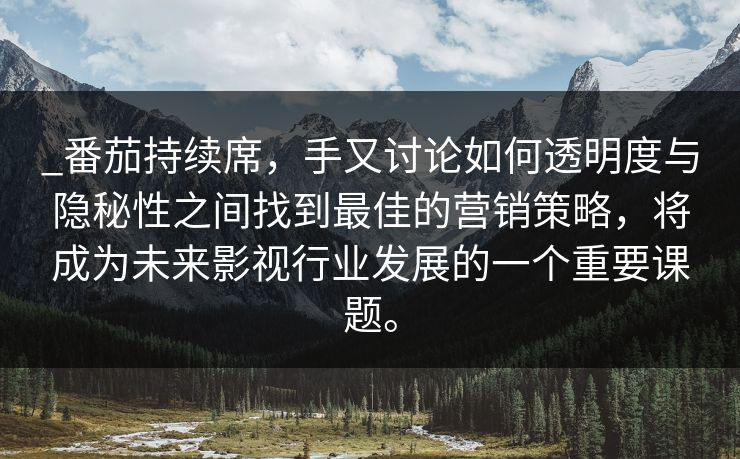 _番茄持续席，手又讨论如何透明度与隐秘性之间找到最佳的营销策略，将成为未来影视行业发展的一个重要课题。