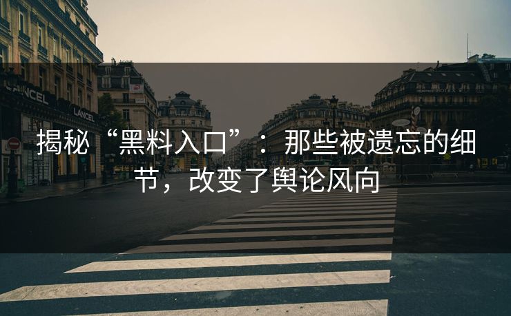 揭秘“黑料入口”：那些被遗忘的细节，改变了舆论风向