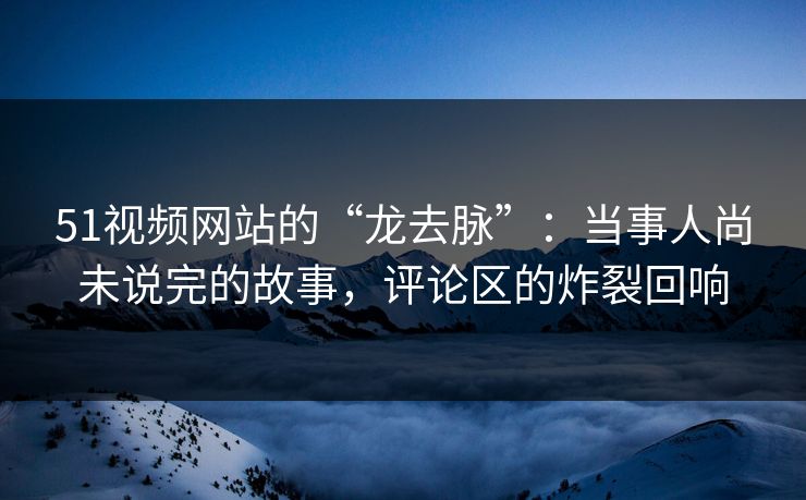 51视频网站的“龙去脉”：当事人尚未说完的故事，评论区的炸裂回响